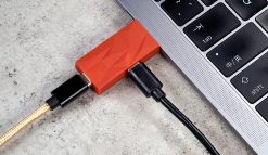 iFi iDefender+