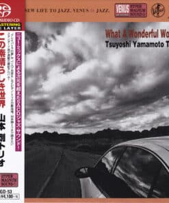 TsuyoshiYamamotoTrio-WhatAWonderfulWorld